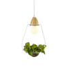 LED Iron Plant Hanging Lamp Glass Wood Base Art Deco Lighting Fixtures E27 for Restaurant Kitchen Bar Lights Pendant Light